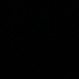 Meet your Posher, Carter